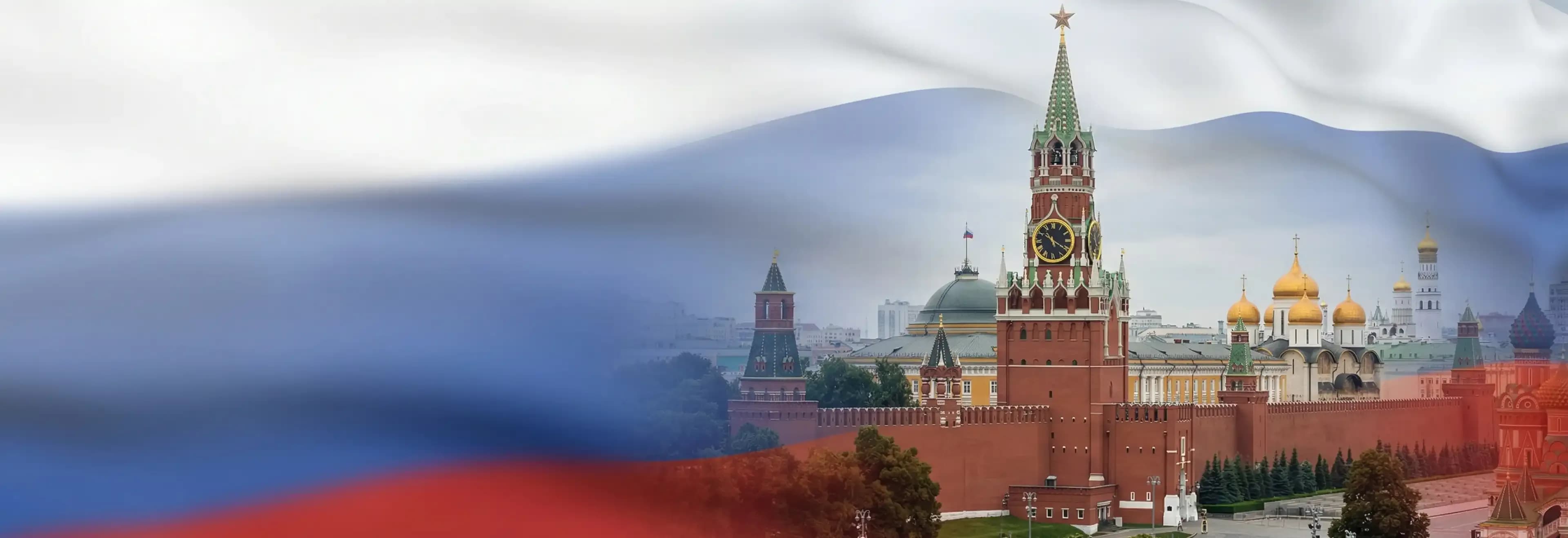 Госзакупки и тендеры