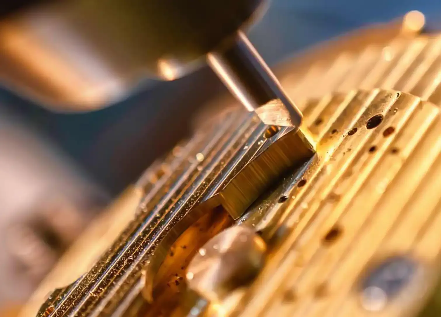 Section media